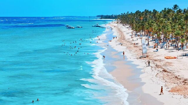 Dominican resort beach on a sunny day. Tropical beach nature in summer landscape with palm trees and calm sea for beach relaxation. Luxury tourist landscape, beautiful place to relax. Drone view.