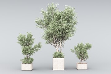 Plant pots in various natural shapes on a white background 3d	