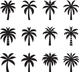 Isolated black plam tree icon Vector, black plam tree Silhouette,black plam tree icon set, black plam tree for logo,color black plam tree Vector illustration, Vector Graphic, EPS 10 , clip art work