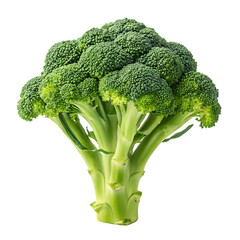 closeup photo of broccoli on a transparent background