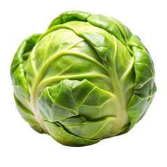 Fototapeta premium Brussels sprout vegetable image with transparent