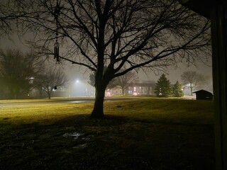 Obraz premium Foggy Night 3