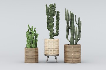 cactus Plant pots in various natural shapes on a white background 3d	
