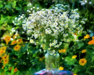 Artistic still life with flowers on a sunlit window
