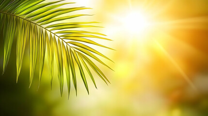 Palm leaf, sun rays, tropical background, summer vacation