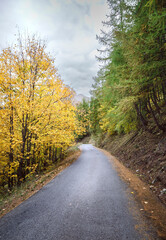 Route Du Lac d'Allos en automne, Alpes de Hautes Provence, France