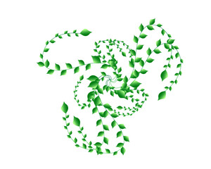 A green plant with green leaves 