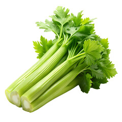celery image with transparent background