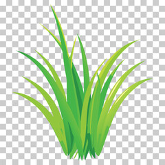Simple vector illustration of green grass growing upwards, isolated on transparent background