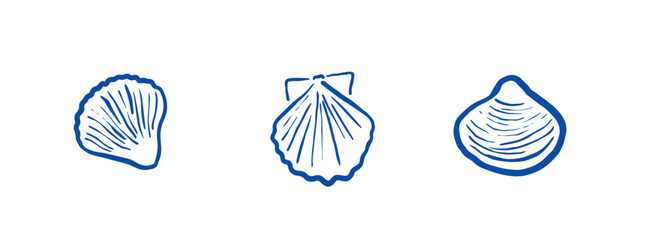 set of hand drawn vector sea shells. doodle whimsical underwater shells. sea witch shells on transparent backgoung