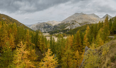 Paysage automnal du Mercantour, Alpes de Haute Provence, France 