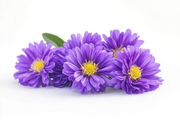 Fototapeta premium A bouquet of purple flowers arranged on a clean white background