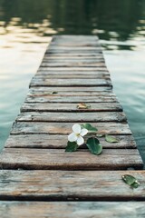 Fototapeta premium A single white flower sits atop a wooden dock, perfect for use in still life photography or as a symbol in your design