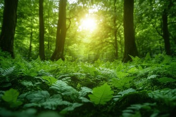 Fototapeta premium A serene forest scene with sunlight filtering through lush green leaves, creating a tranquil atmosphere that invites exploration and connection with nature.