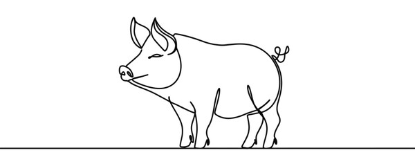 Continuous one line Pig drawing. Hand drawn minimalism style vector illustration.