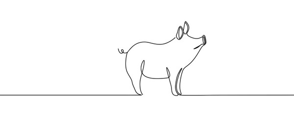 Continuous one line Pig drawing. Hand drawn minimalism style vector illustration.