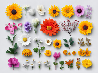 Fototapeta premium Create vibrant floral arrangements with customizable vector elements for various designs