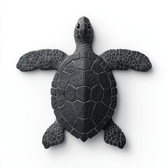 Fototapeta premium Black sea turtle, overhead view, detailed shell texture.