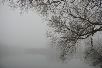 Mysticism of a foggy morning. Pond, trees on the shore. Reflection. Winter. Warm January