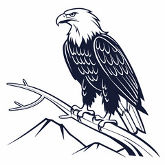 eagle on the branch