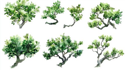 Obraz premium Collection of six watercolor tree illustrations showcasing various green hues and natural forms in artistic style