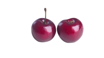 Two fresh red cherries with stems on transparent background