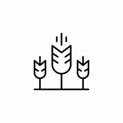wheat field icon sign vector
