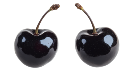 Two ripe black cherries isolated on transparent background