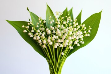 Fototapeta premium A beautiful vase filled with many white flowers
