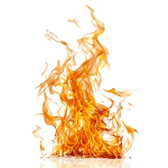 Fire flames on white background