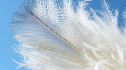 A close-up view of a single white feather floating in a clear blue sky