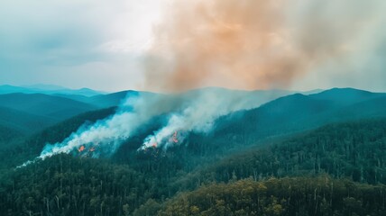 Aerial view of smoke rising from a forest fire, with rolling hills and dense trees, highlighting the impact of wildfires on natural landscapes.