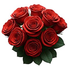 Obraz premium Red roses with bouquet for valentines day up view white background.