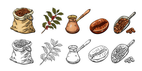 Engraving, coffee sketch, vector illustration in color and line. Coffee bag, beans, branch, coffee turk