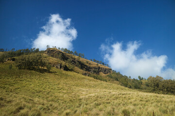 grass savannah with hills and blue sky