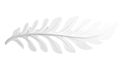 Fototapeta premium White 3d rendering of a fern leaf on transparent background