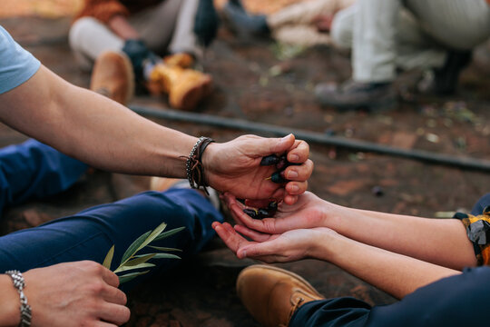 Farmers sharing freshly harvested olives during harvest time