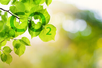 The issue of carbon dioxide emissions, global warming, sustainable development concept. Green...