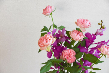 薔薇とアランダ
