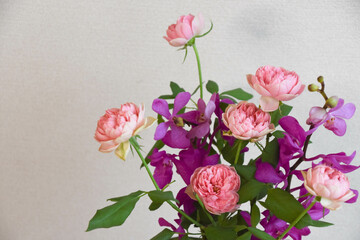 薔薇とアランダ