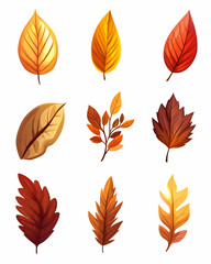 Fototapeta premium Autumn leaves collection, isolated on white, for fall design