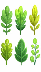 Cartoon green leaves collection, isolated on white background, for game design or children's book illustrations