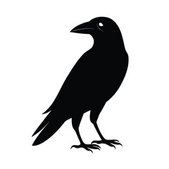 crow on a white background vector illustration