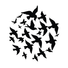 birds in flight vector illustration