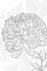 Detailed Chrysanthemum Flower Line Art, Elegant Floral Design, Botanical Illustration, White Background, Coloring Book Page