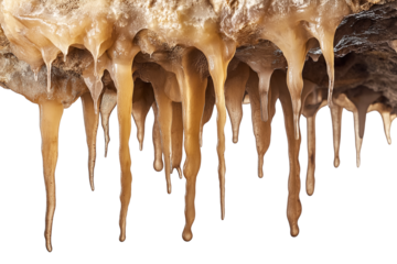 stalactite dripping in cave isolated on white transparent background