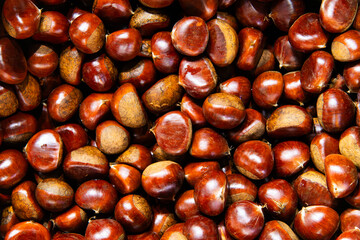 chestnuts on sale in the market