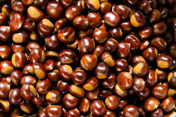 chestnuts on sale in the market
