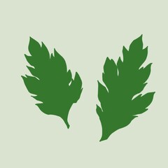 よもぎの葉っぱ