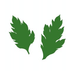 よもぎの葉っぱ